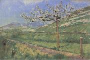 Ferdinand Hodler Apple tree in Blossom